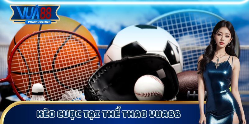 Thể Thao Vua88 - Cá Cược Bóng Đá Nhận Lợi Nhuận Khủng 2 Kèo cược tại thể thao Vua88