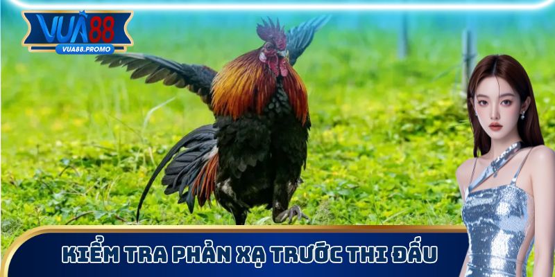 Cách Chọn Chiến Kê Cực Chuẩn Không Phải Ai Cũng Biết 2 Kiểm tra sức khoẻ, phản xạ thật kỹ trước khi bắt đầu trận