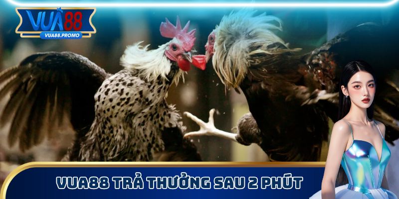 Mọi trận thắng đều được trả thưởng về ví sau 2 phút