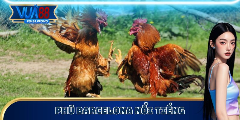 4 Sư Kê Đá Gà Cựa Sắt Danh Tiếng, Đặt Là Trúng 100% 2 Phúc Barcelona chuyên huấn luận chiến kê đá chủ động